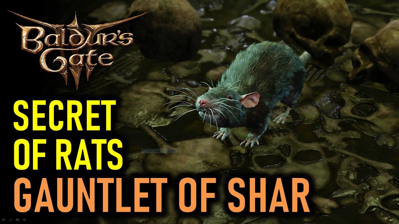 Gauntlet of Shar Rats? (Solve)