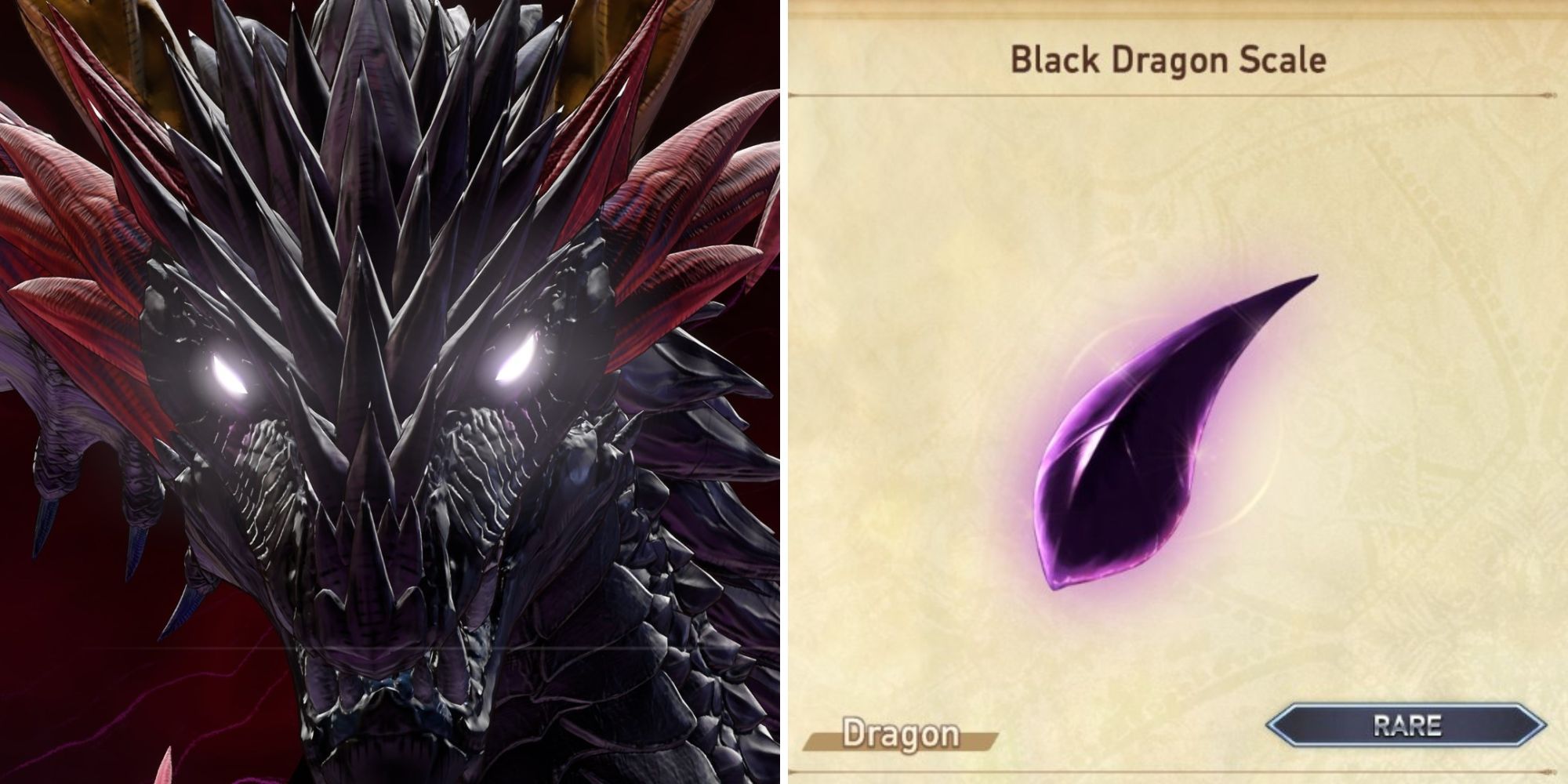 Why is black dragon scale relink essential? Learn its importance and how to farm it today.
