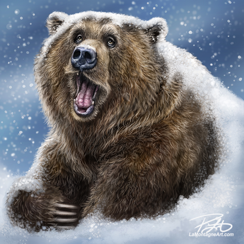 Thinking about a grizzly bear skin? Here is what you must know before you decide to buy.