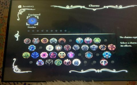 What is the chainblade charm? (All you need to know about this powerful game item)