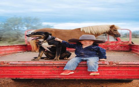 Whats the best way to experience a windswept plateau? Follow these top tips for an unforgettable windswept plateau journey.