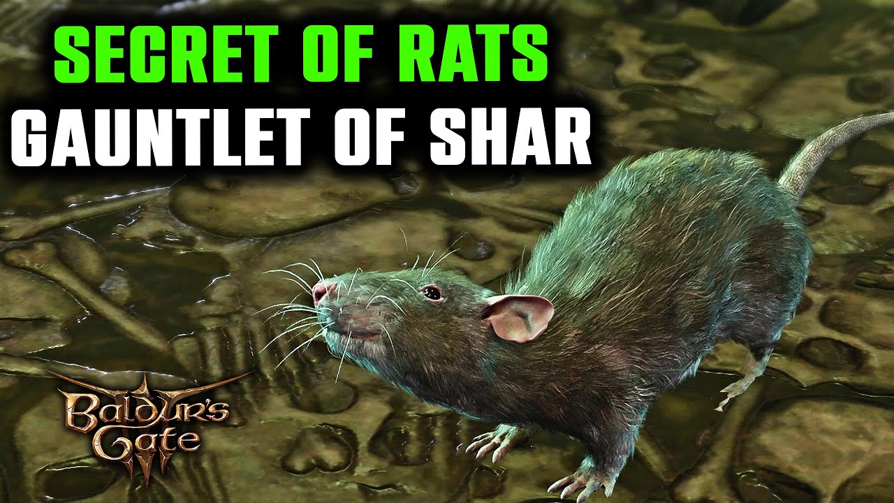 Need help with bg3 rats in gauntlet of shar? Follow this easy guide to get past them quickly.