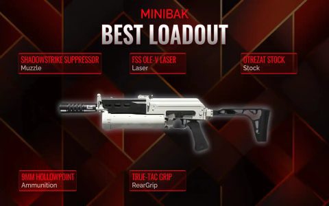 Why pick minibak? (It is a great choice)