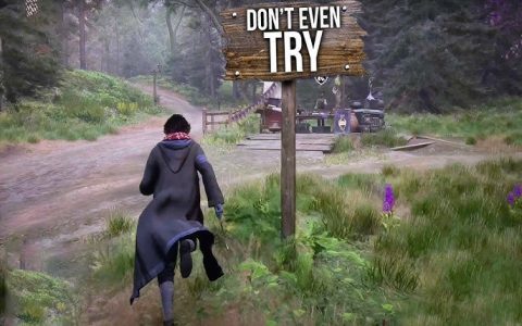 What is gorgimera simple explanation and easy guide