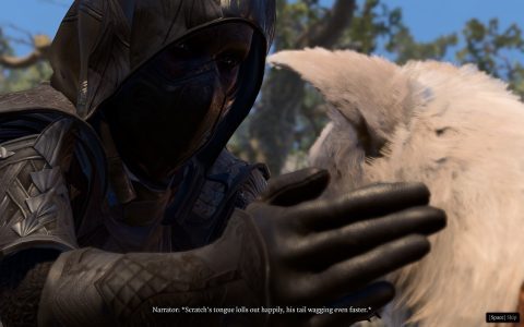 Is bg3 gale cat a real game feature? (Find out if this cool feline is official or just a mod)