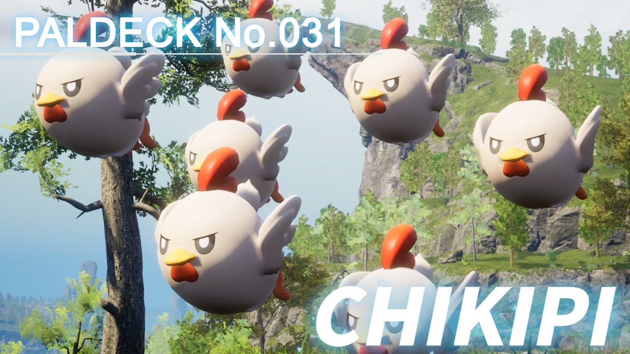 Chikipi for newbies (Start now)