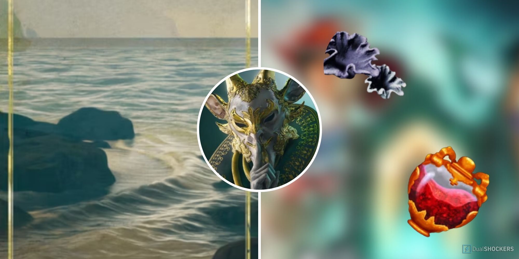 What is nightingale coral? (Learn all about this truly cool and pretty sea creature now)