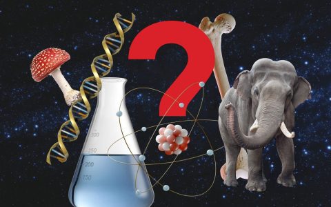 Where to Find Sea of Stars Quiz Master Answers Complete Question List