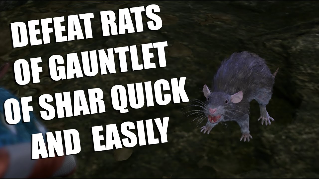 Understanding the Baldurs Gate 3 Gauntlet of Shar Rats (A Quick Guide to Solving This Part Fast)